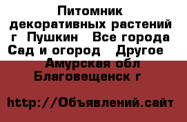 Питомник декоративных растений г. Пушкин - Все города Сад и огород » Другое   . Амурская обл.,Благовещенск г.